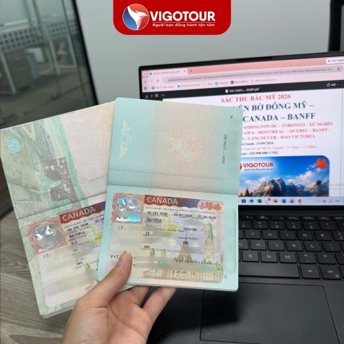 Visa Vigotour