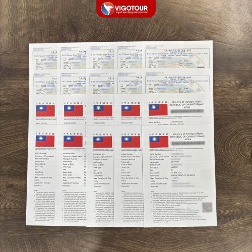 Visa Vigotour