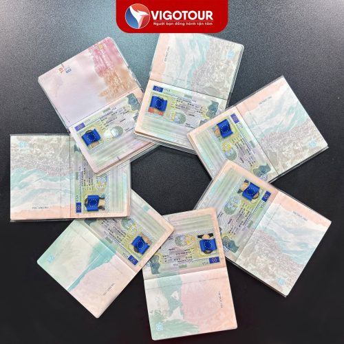 Visa Vigotour