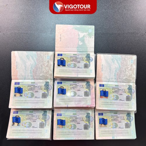 Visa Vigotour