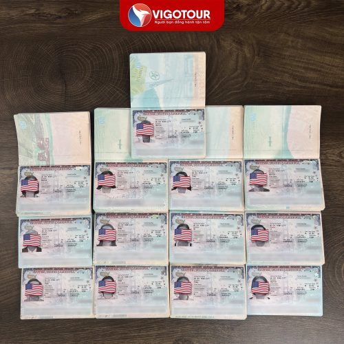 Visa Vigotour