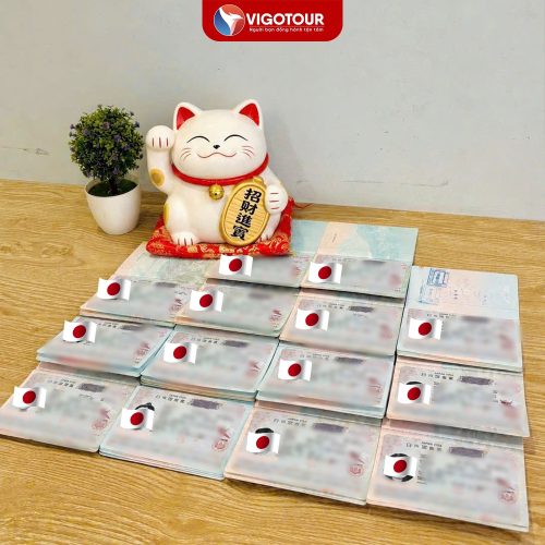 Visa Vigotour