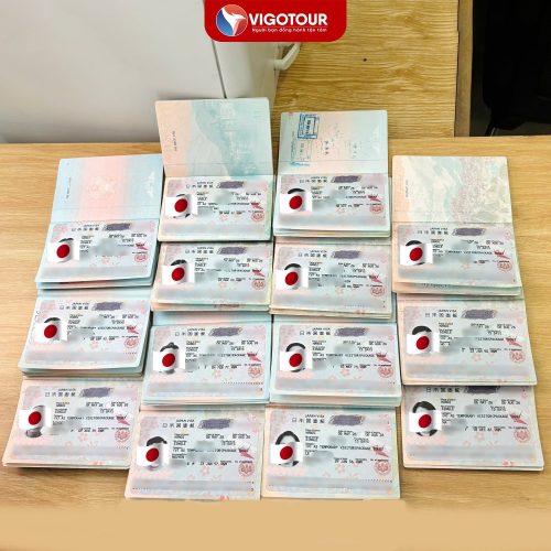 Visa Vigotour