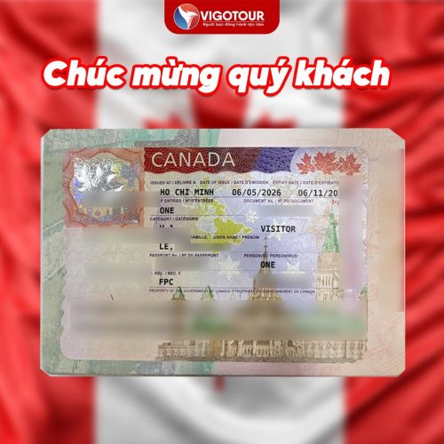 Visa Vigotour