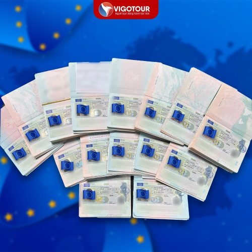 Visa Vigotour