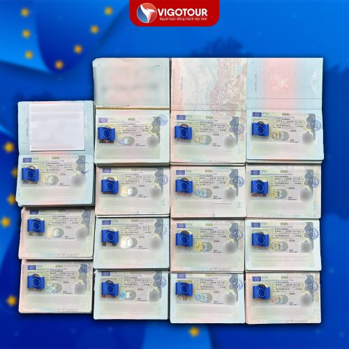 Visa Vigotour