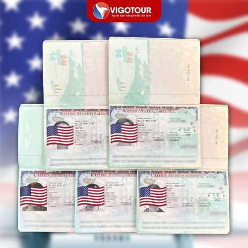 Visa Vigotour