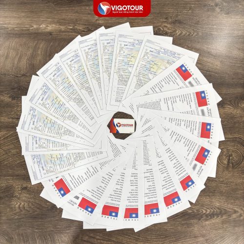 Visa Vigotour