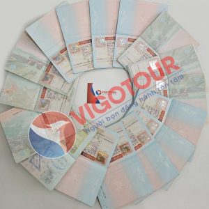 Visa Vigotour