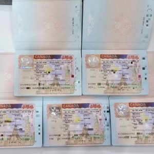 Visa Vigotour