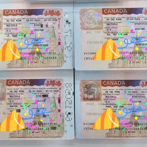 Visa Vigotour