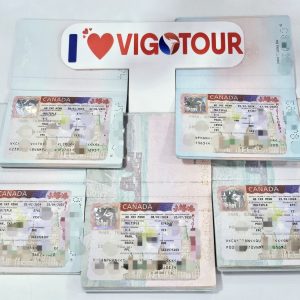 Visa Vigotour