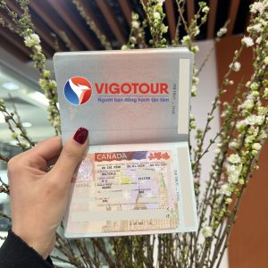 Visa Vigotour