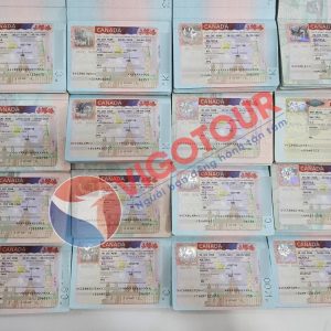 Visa Vigotour