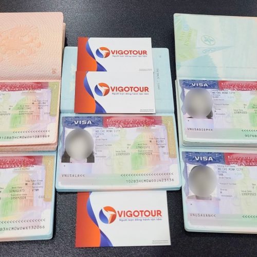 Visa Vigotour
