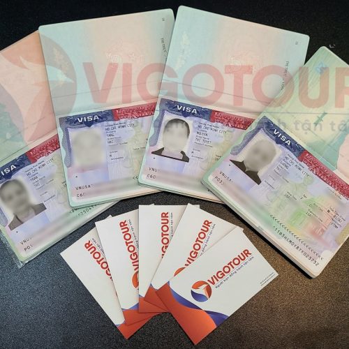 Visa Vigotour