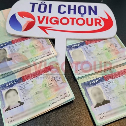Visa Vigotour