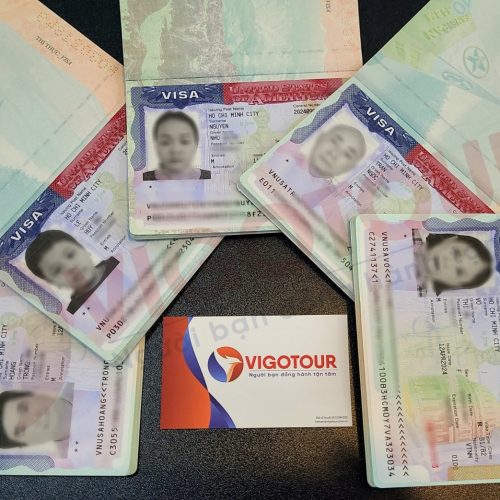 Visa Vigotour