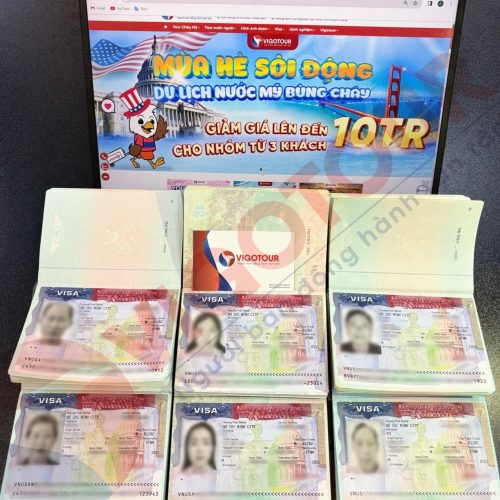 Visa Vigotour