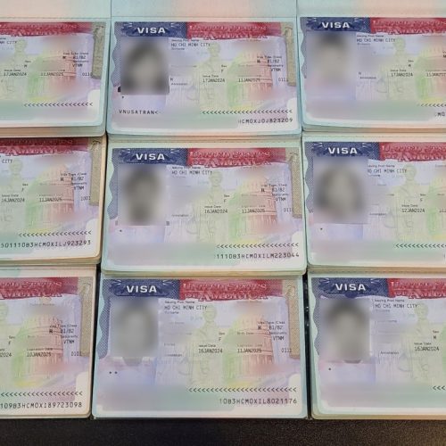 Visa Vigotour