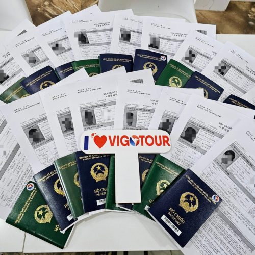 Visa Vigotour
