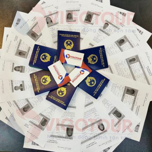 Visa Vigotour