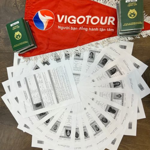 Visa Vigotour
